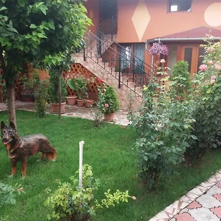 Olimpia Apartments Alba Iulia Exterior photo