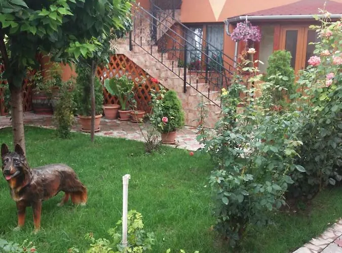 Olimpia Apartments