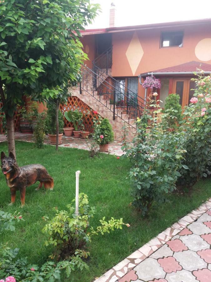 Apartment Olimpia