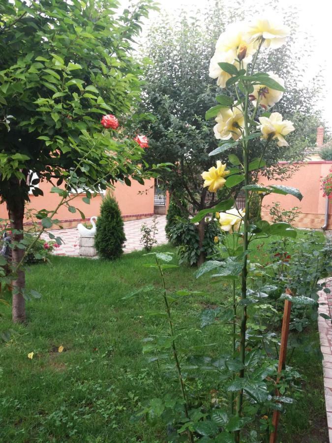Apartment Olimpia *