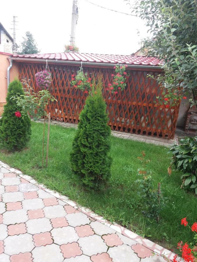 Olimpia Apartment Alba Iulia