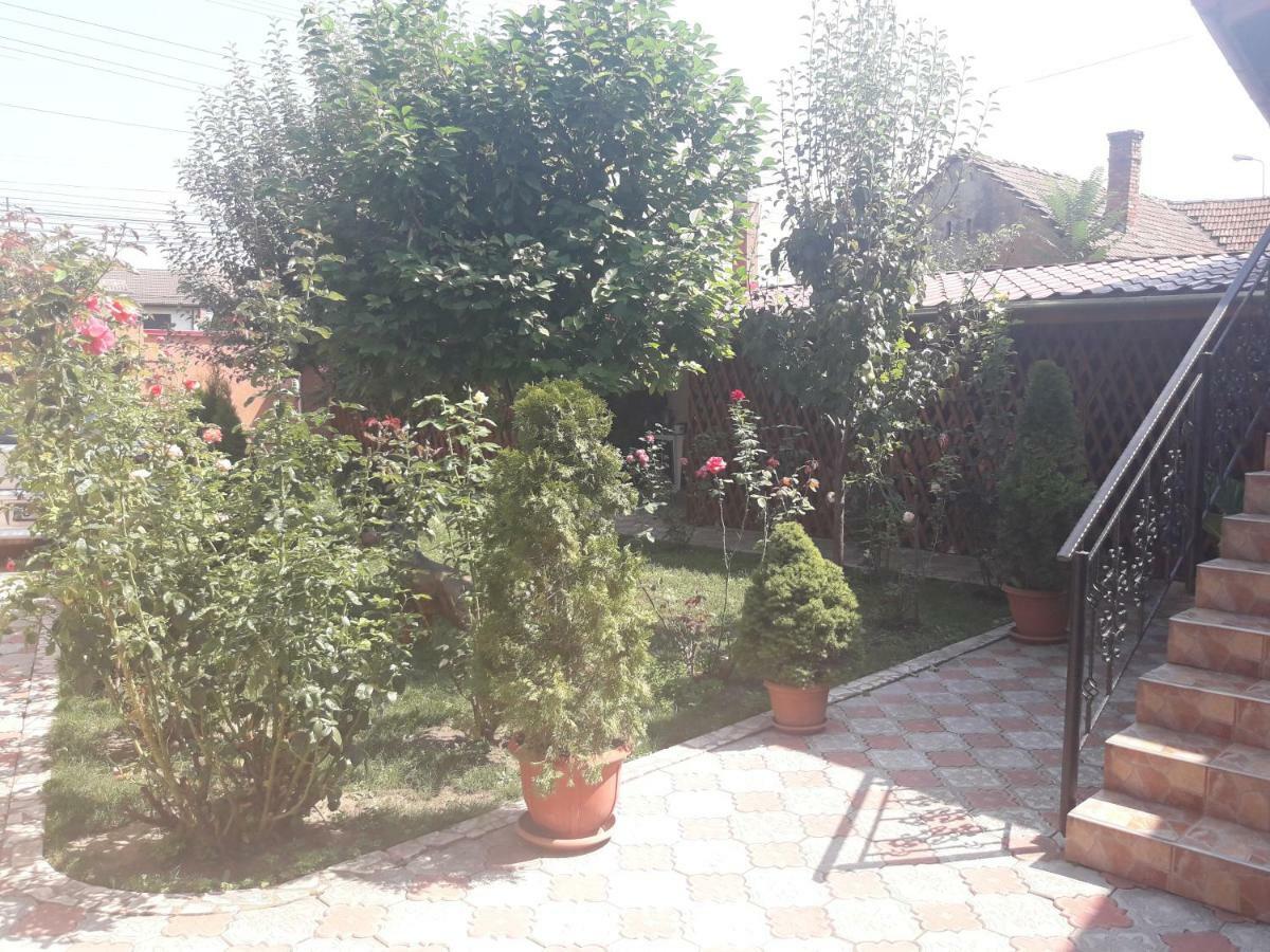 Olimpia Alba Iulia