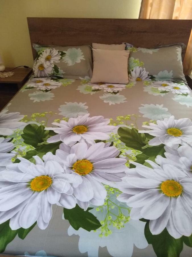 Olimpia Apartment